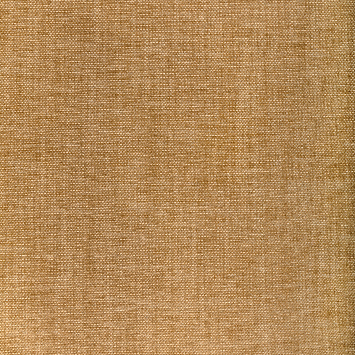 Kravet Smart-36650-1616