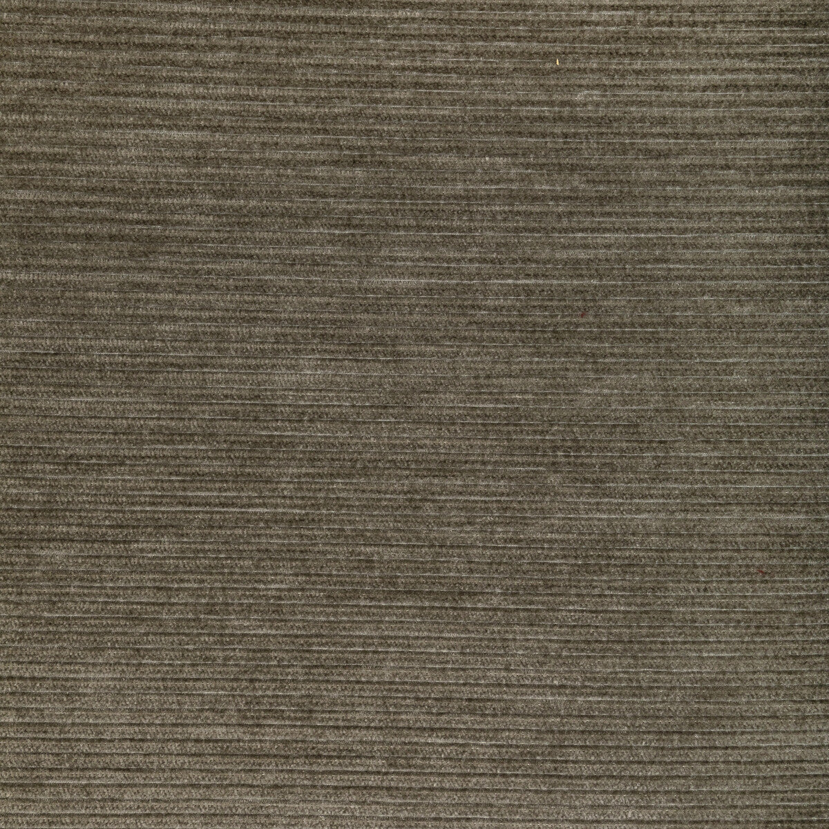 Kravet Smart-36651-106