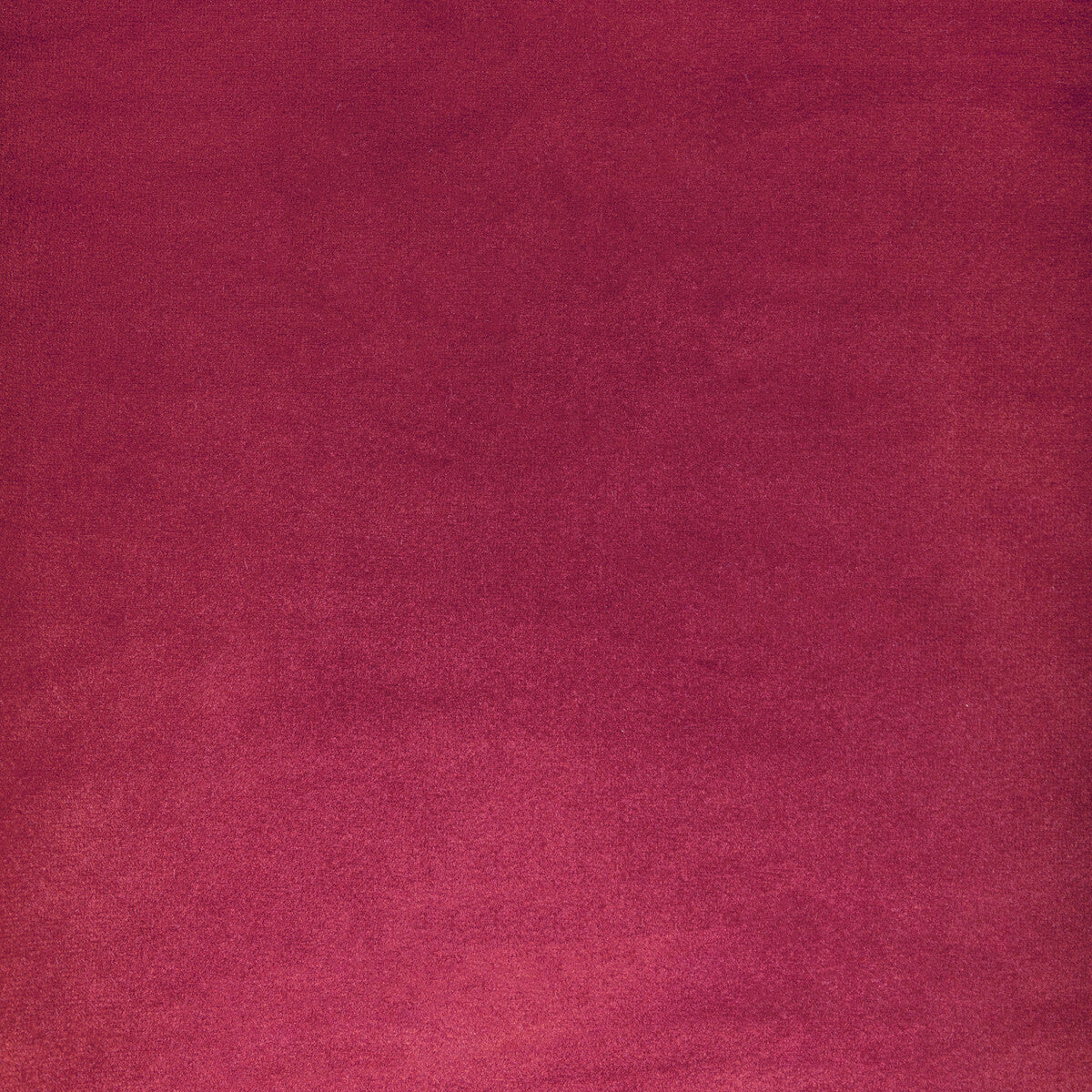 Rocco Velvet-Rosa