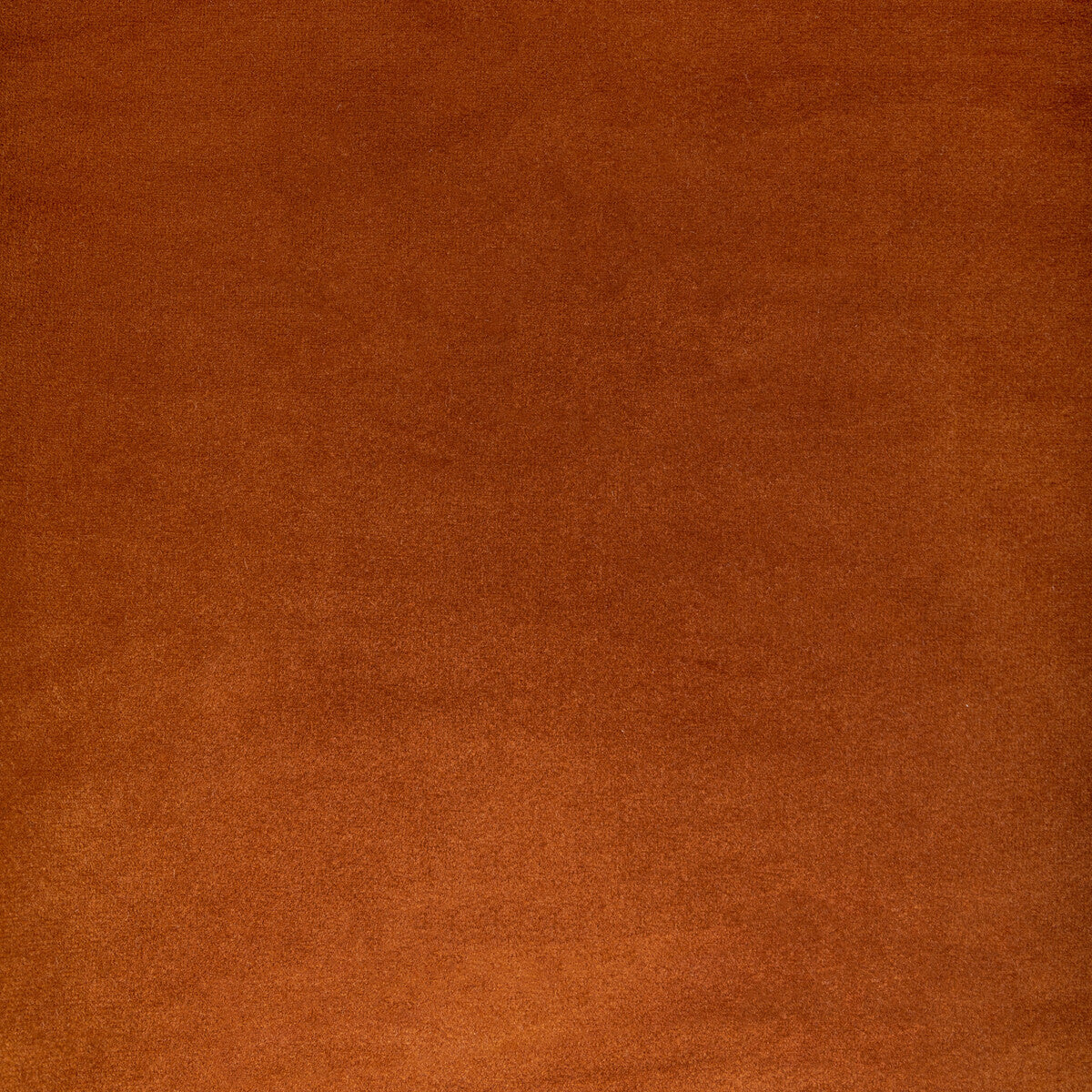 Rocco Velvet-Spice