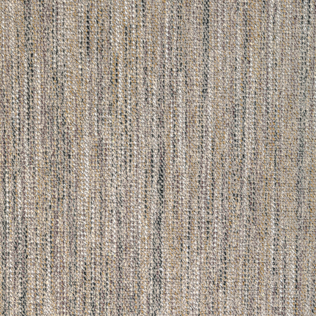 Delfino-Stone