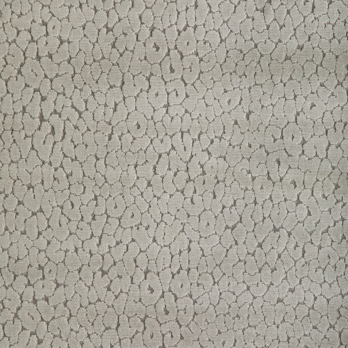 Instinctive-Taupe