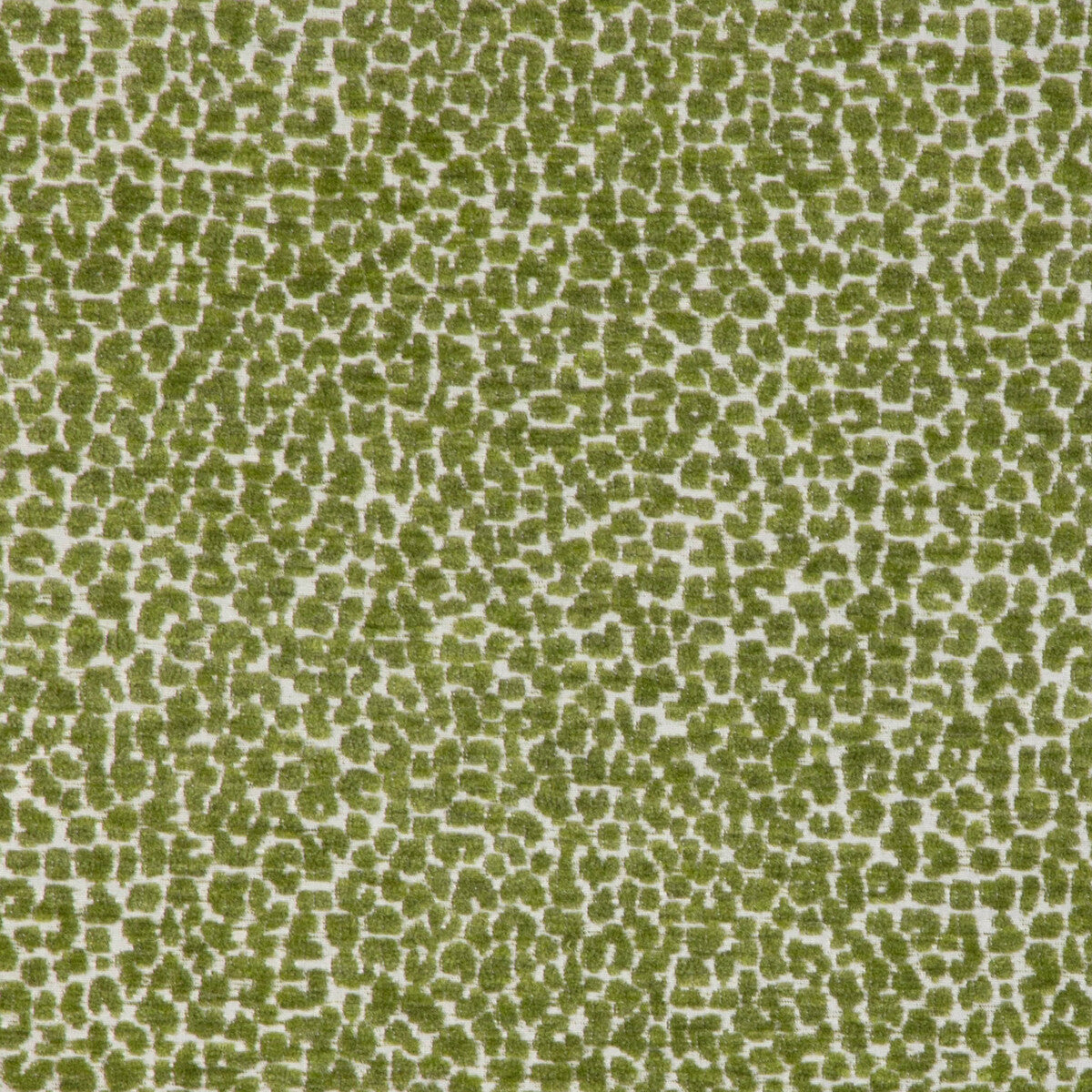Kravet Design-36777-3