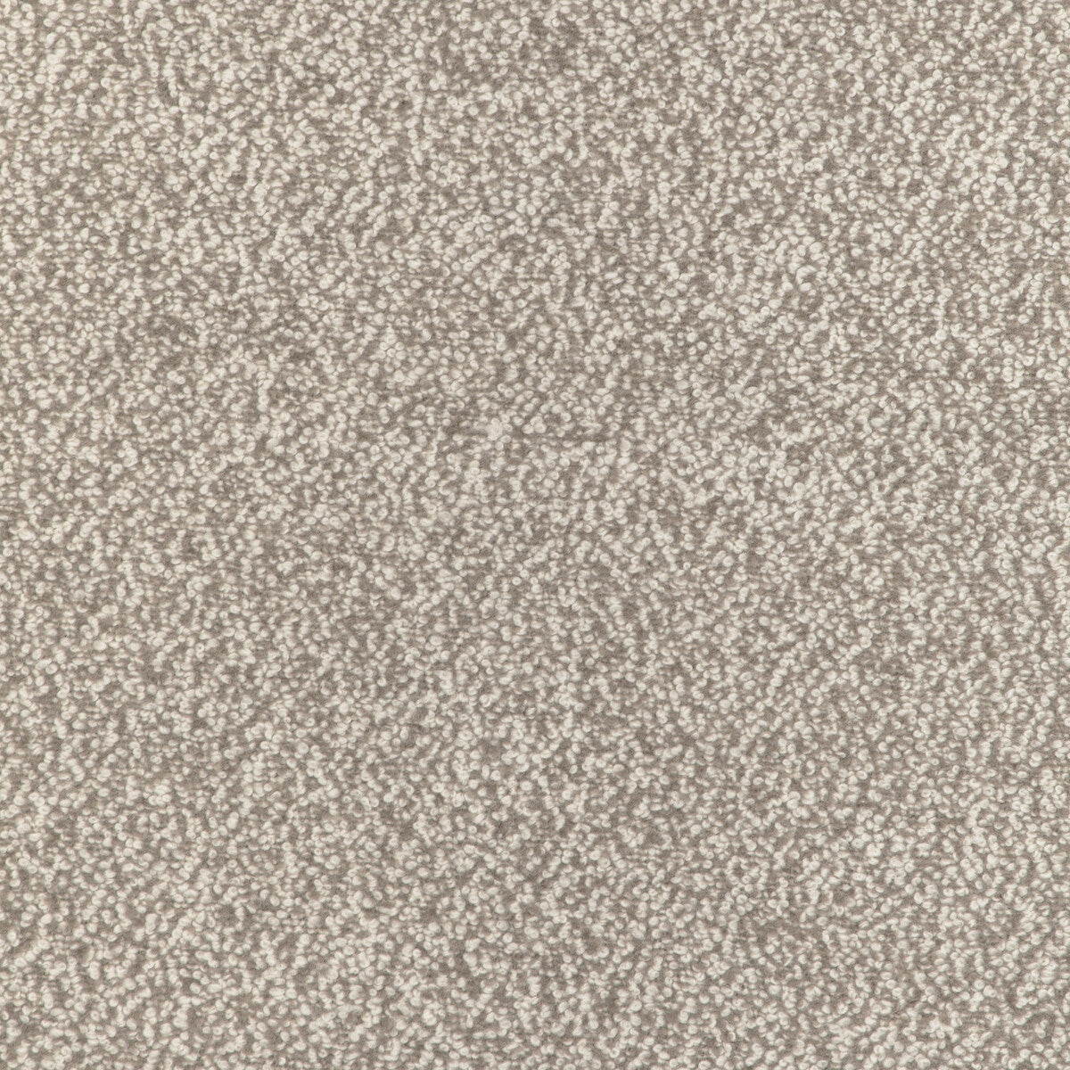 Alpaca Boucle-Fawn