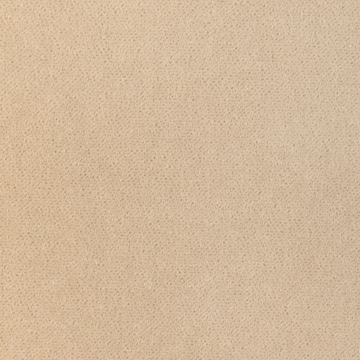 Kravet Design-36956-16