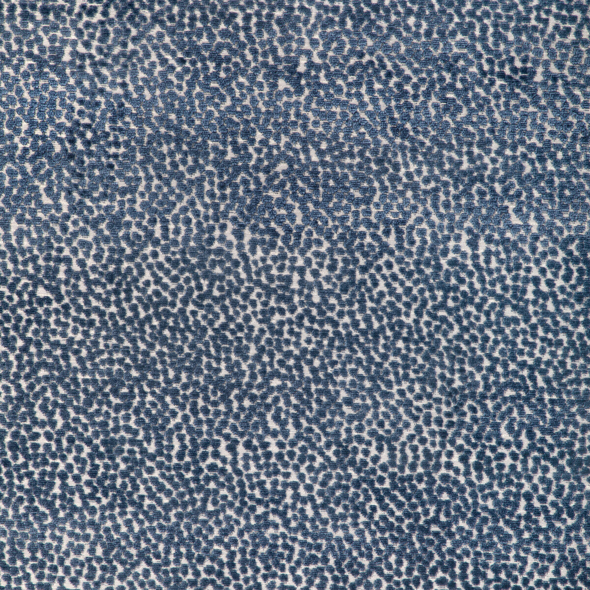 Kravet Design-36988-5