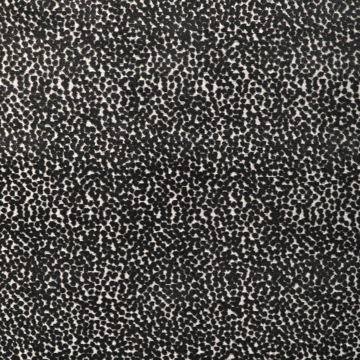 Kravet Design-36988-8