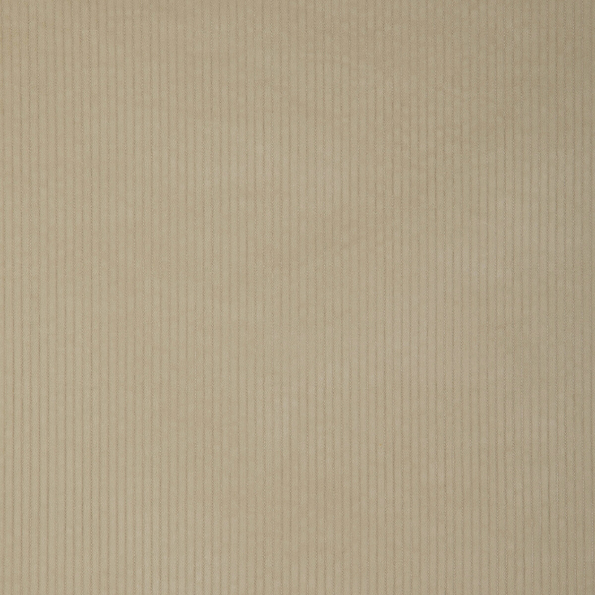 Kravet Smart-37006-1116