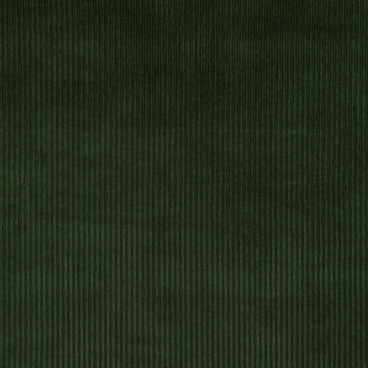 Kravet Smart-37006-3333