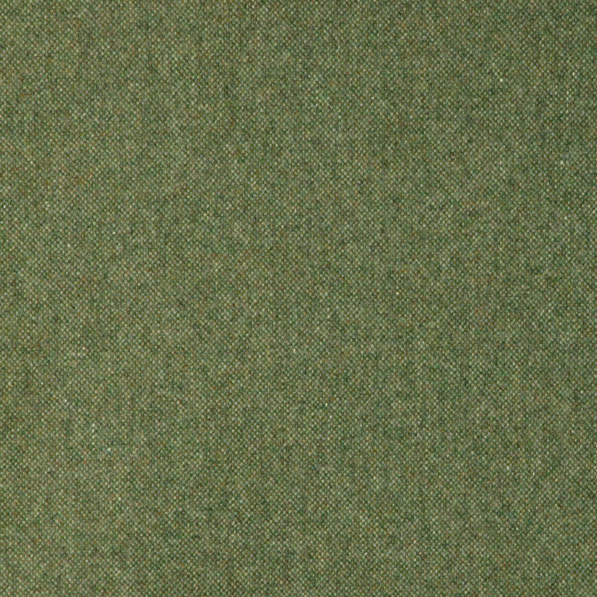 Manchester Wool-Cactus