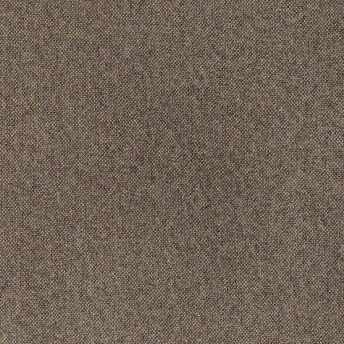 Manchester Wool-Biscotti