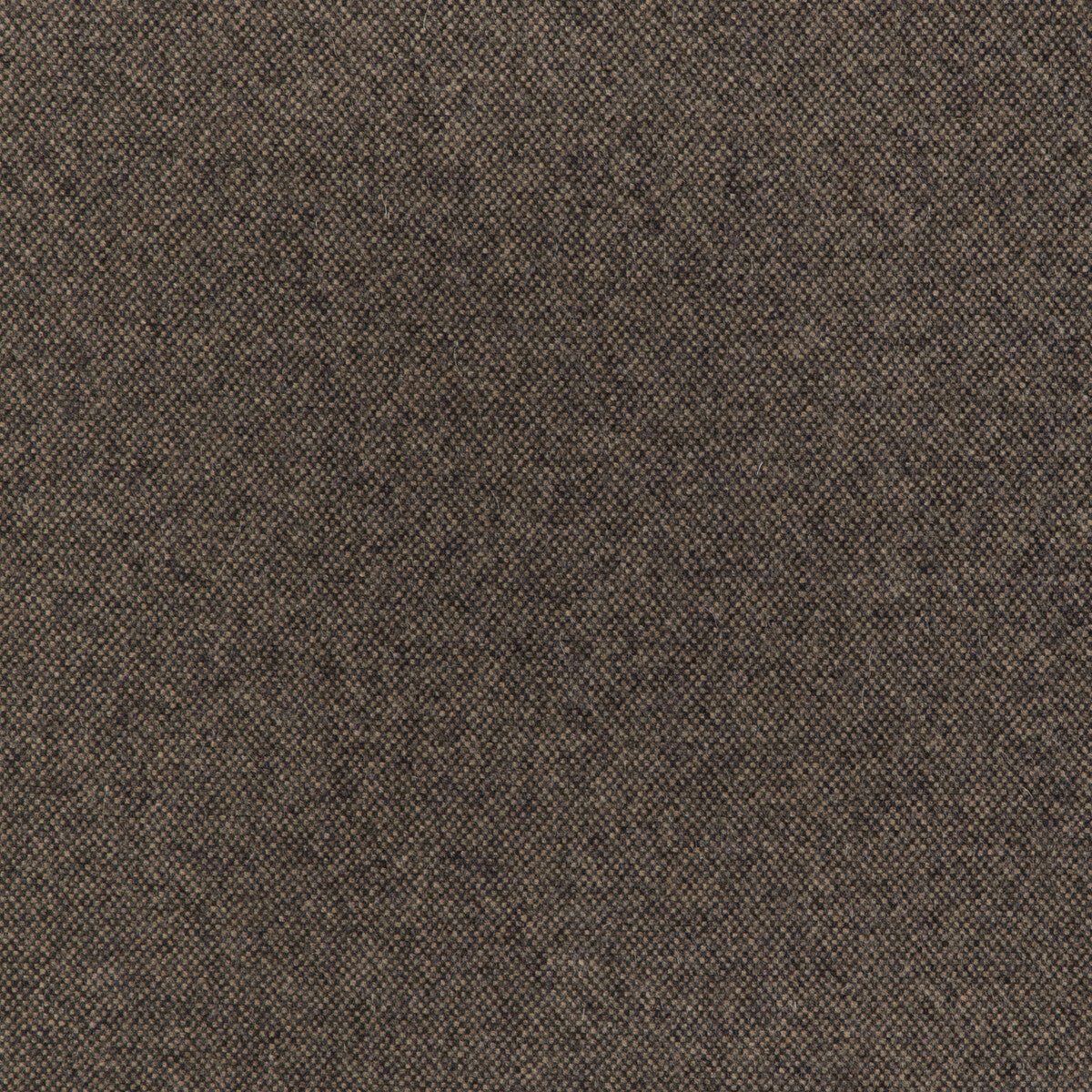 Manchester Wool-Java