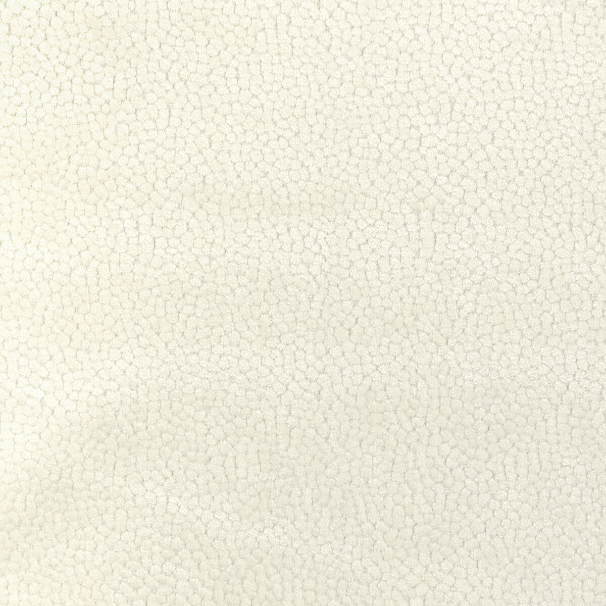 Kravet Design-37064-1