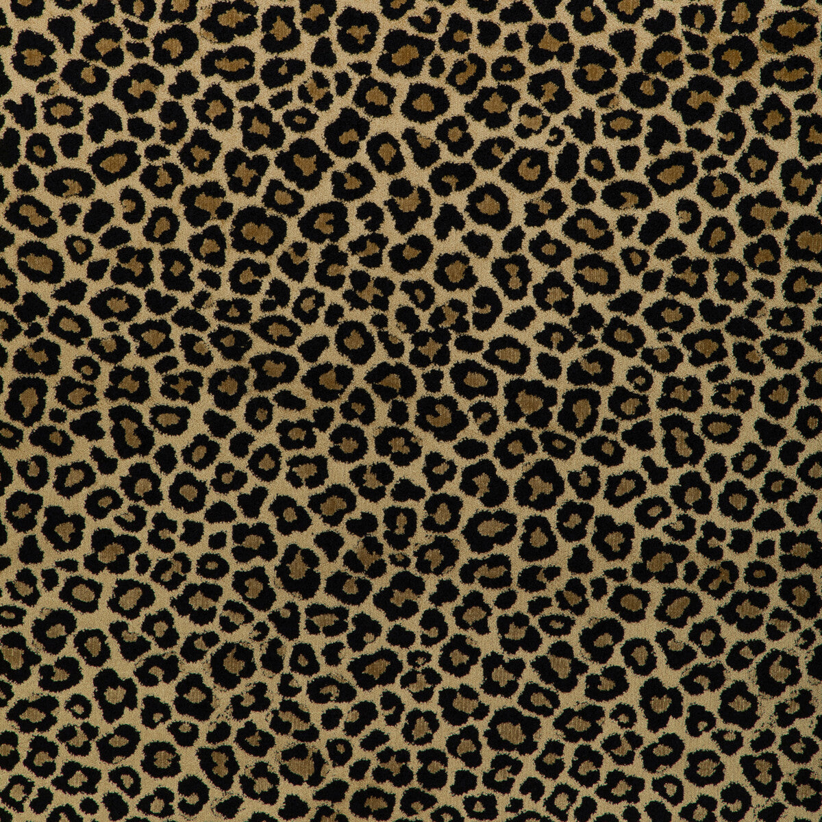 Kravet Design-37139-816