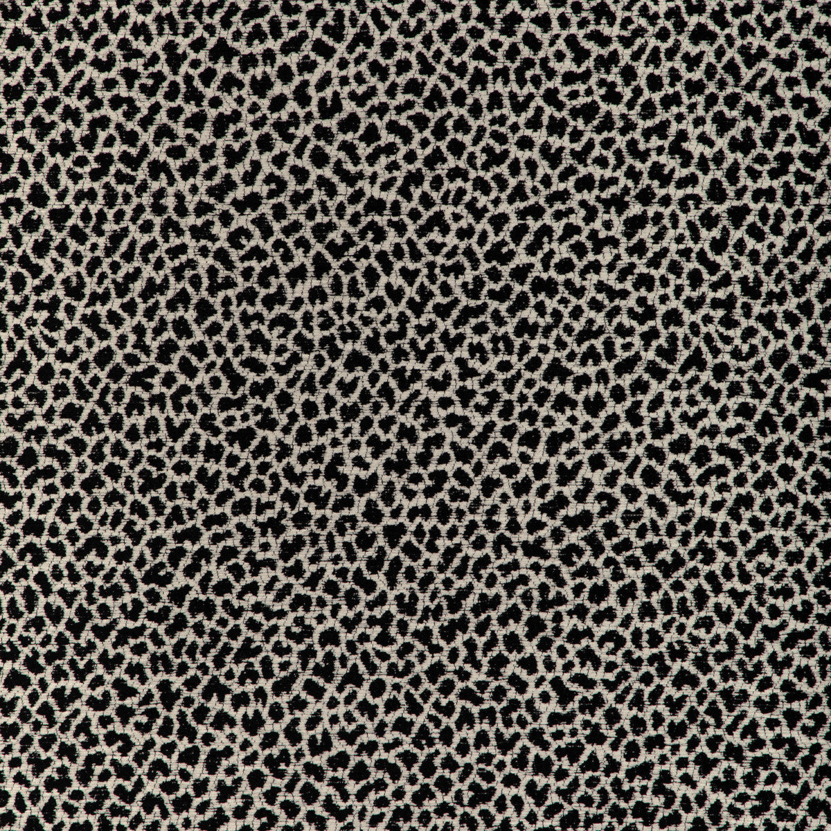 Kravet Design-37198-81