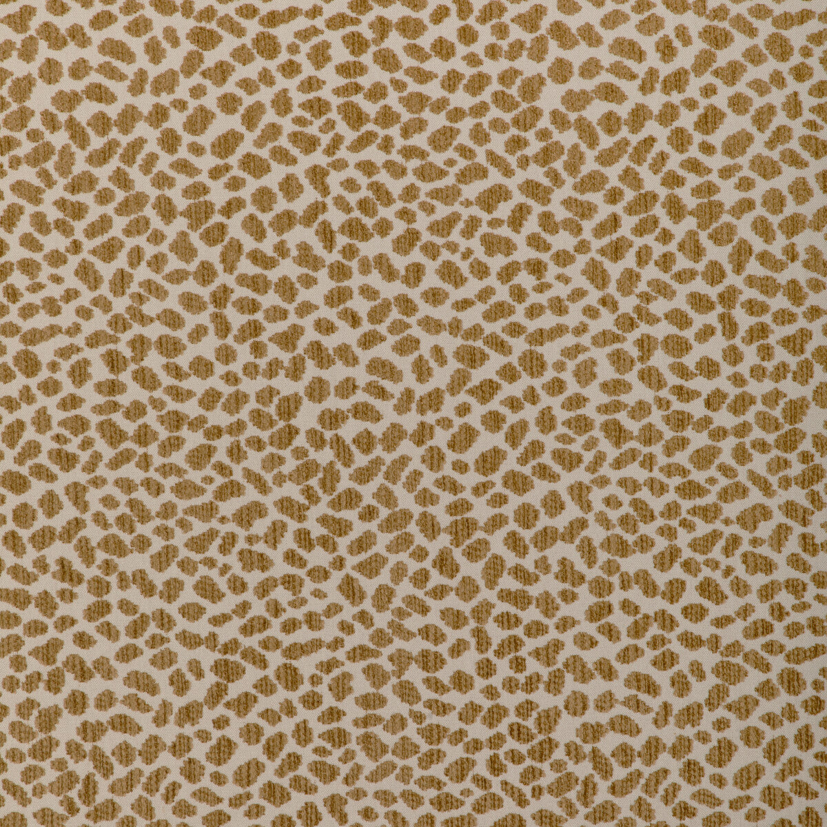 Kravet Design-37220-4