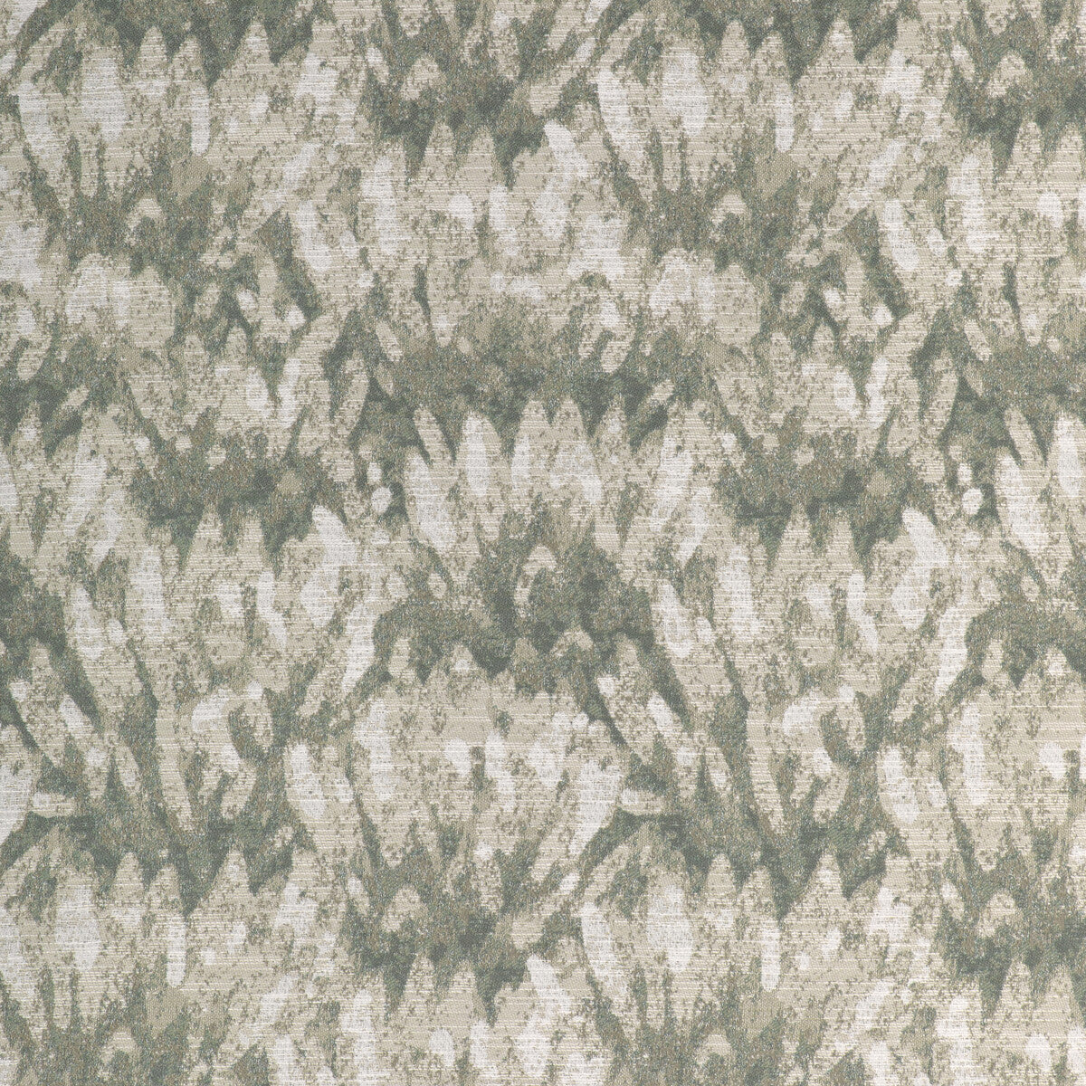 Wildbrush-Agave