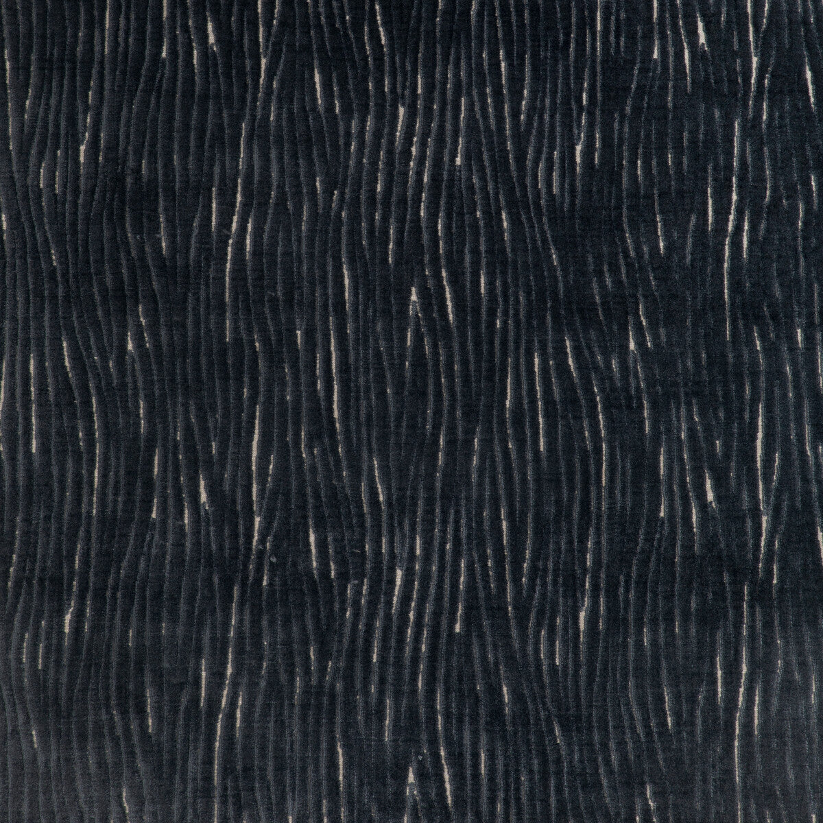 Wave Motion-Coal