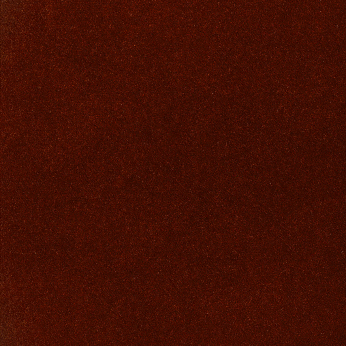 Solo-Spice