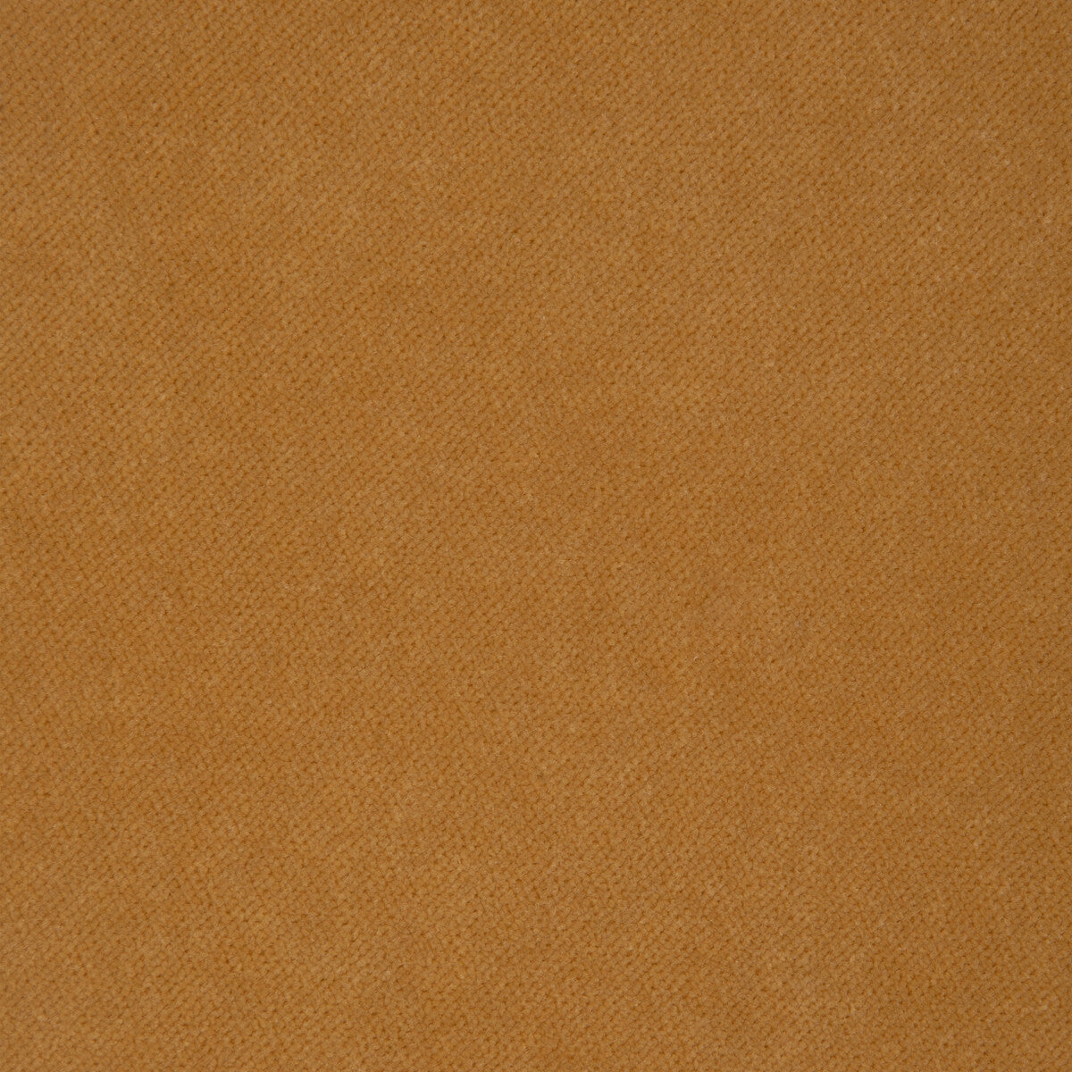 Solo-Butterscotch