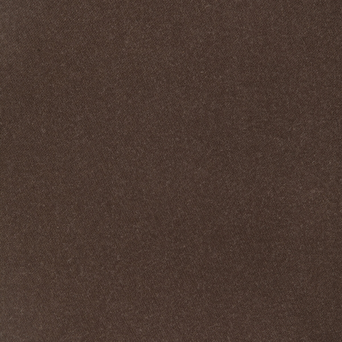 Kravet Contract-37309-6