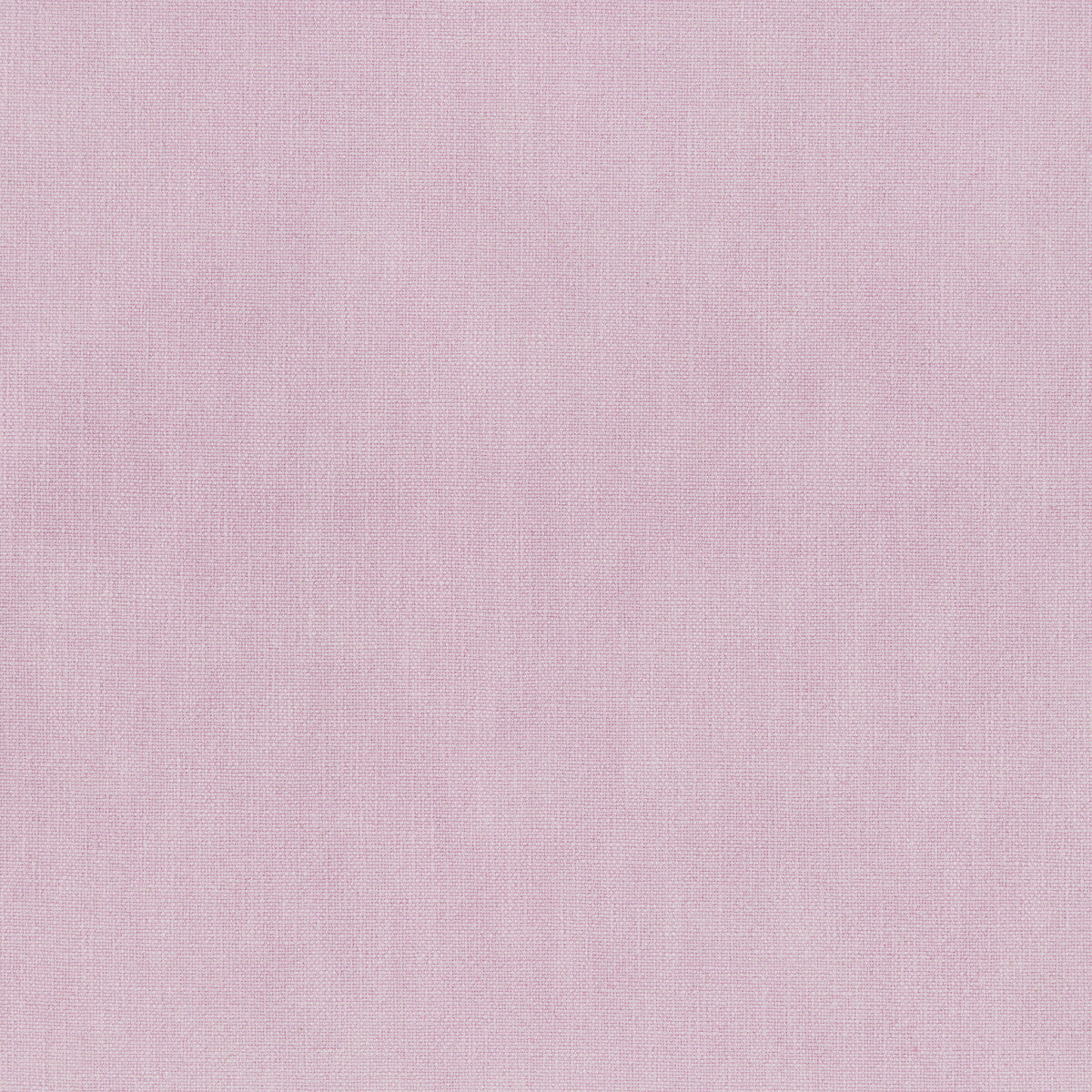 Vero-Orchid