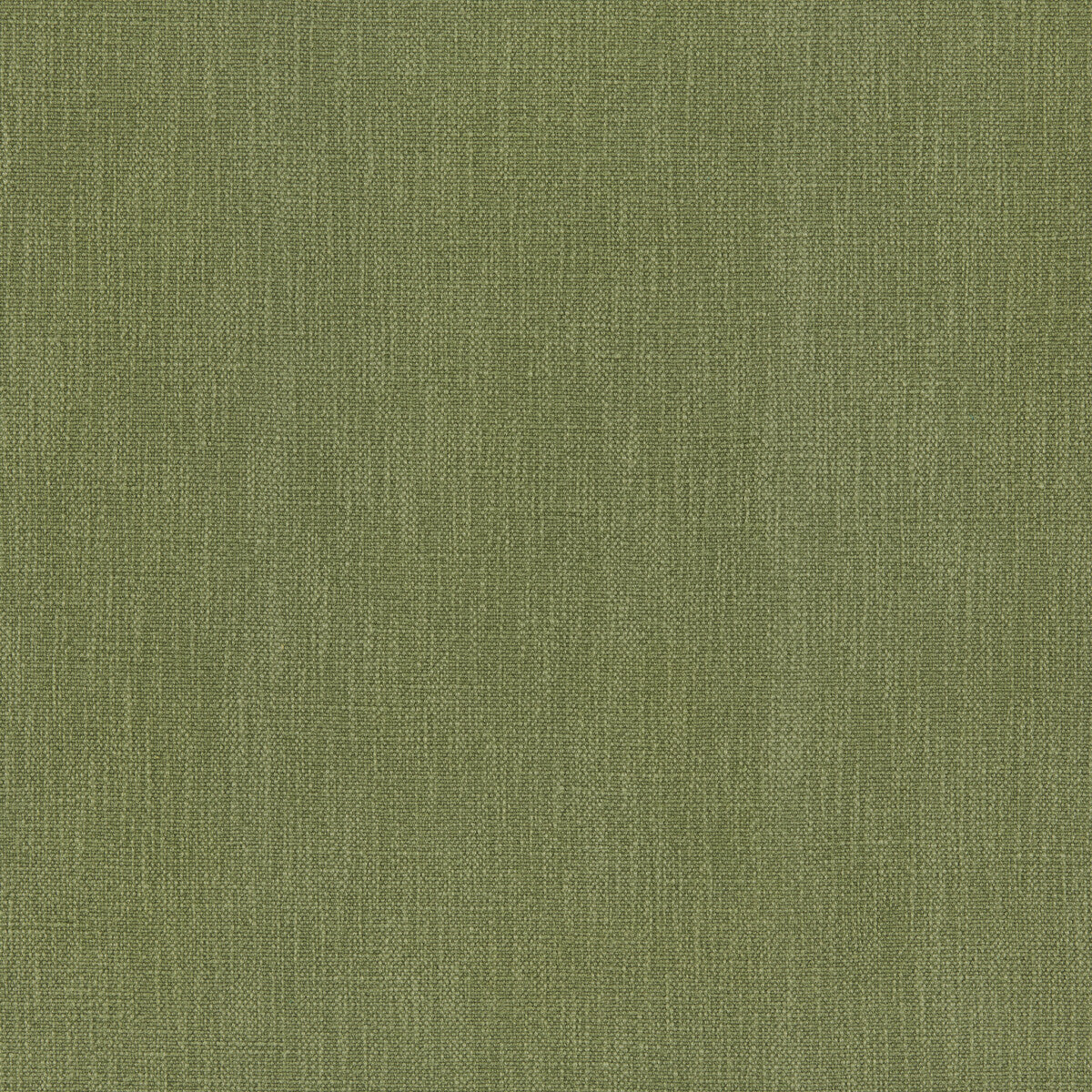 Vero-Meadow