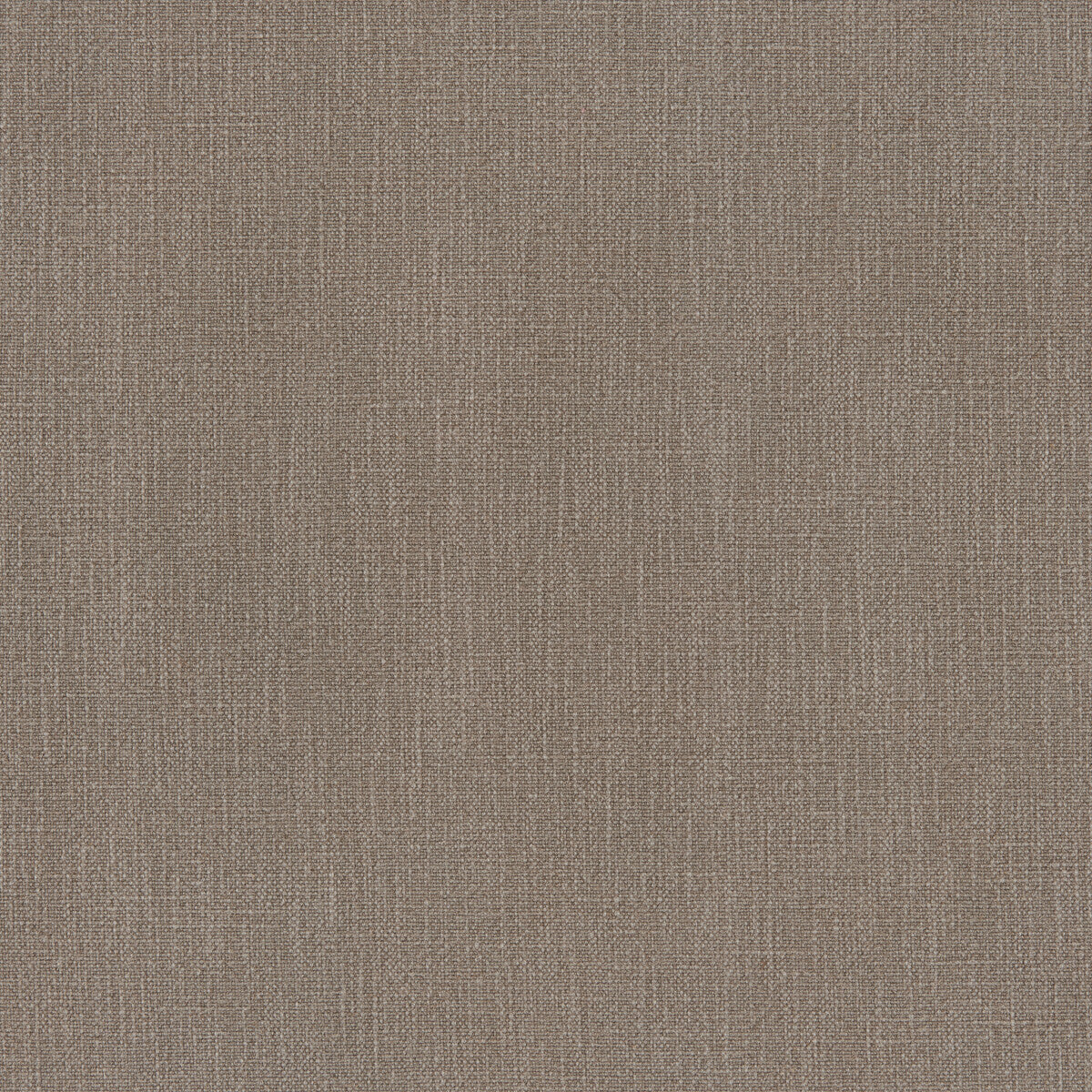 Vero-Bark