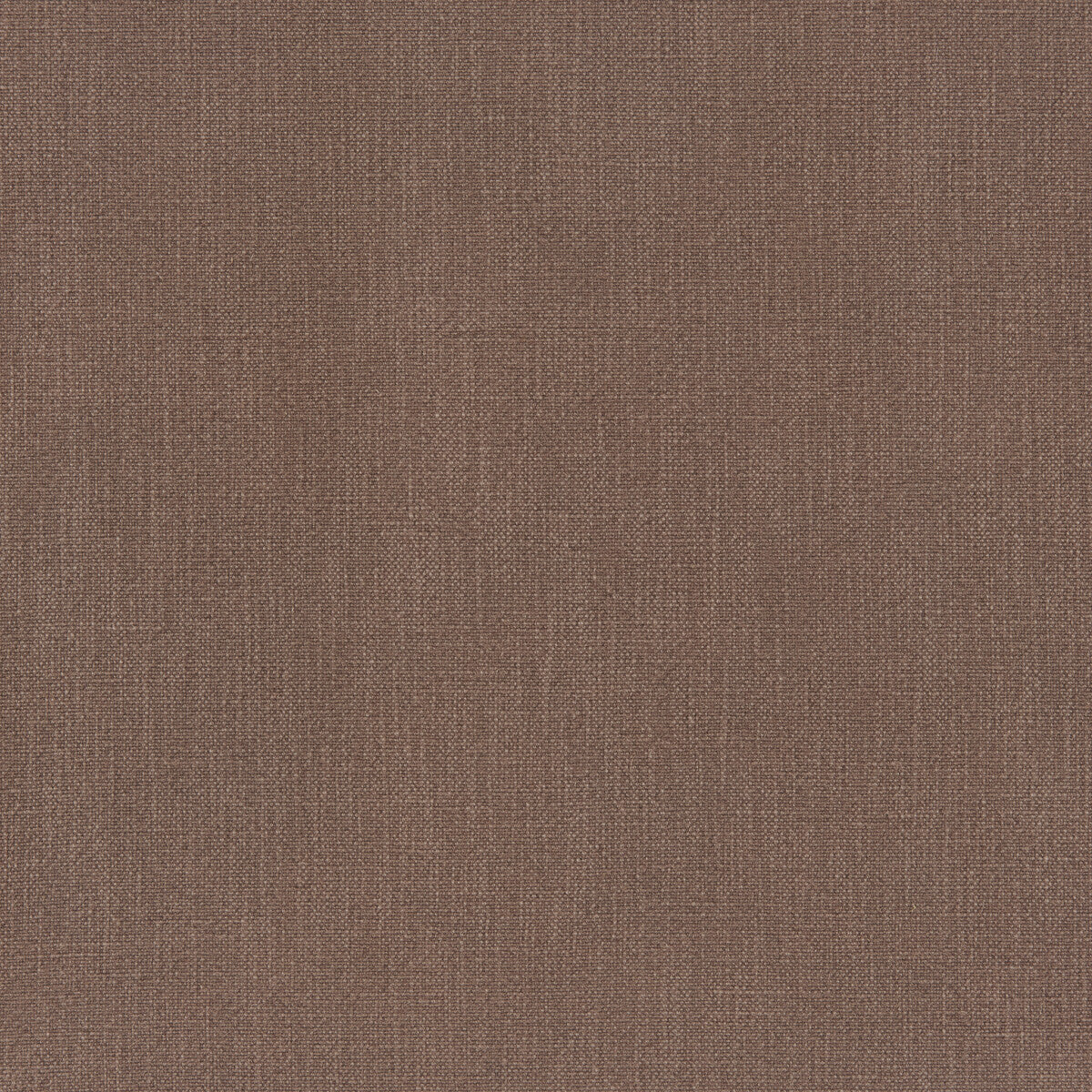 Vero-Truffle