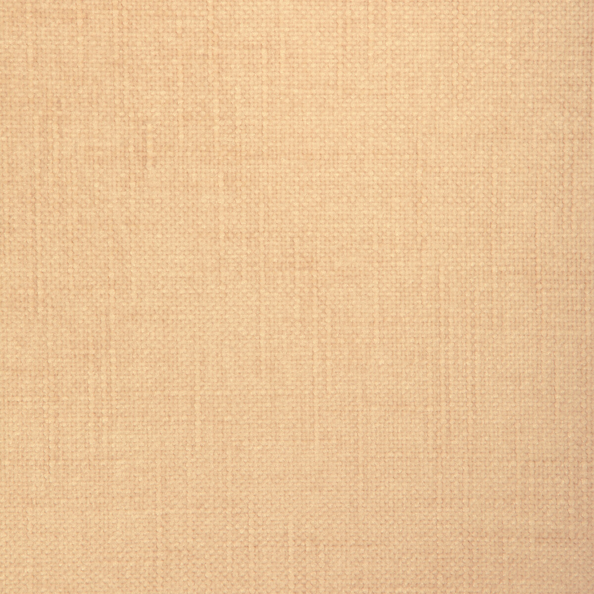 Jesse-Taupe