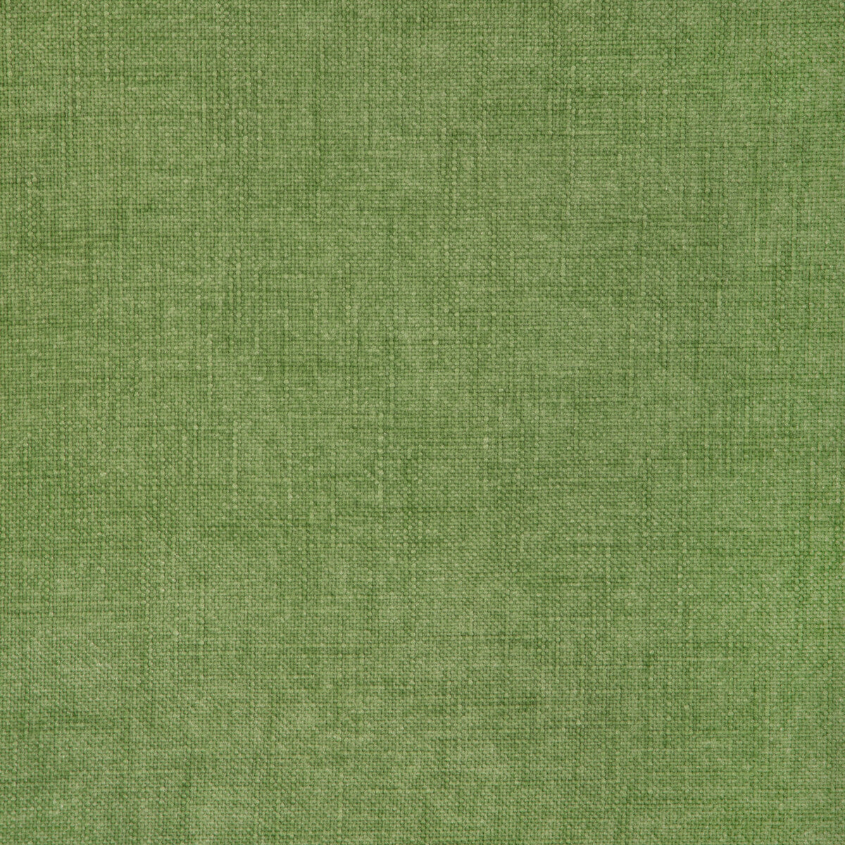 Jesse-Grass