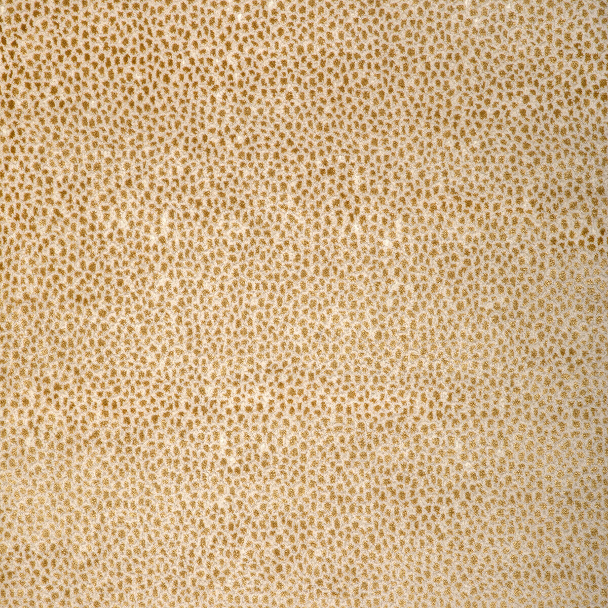 Kravet Design-37480-4