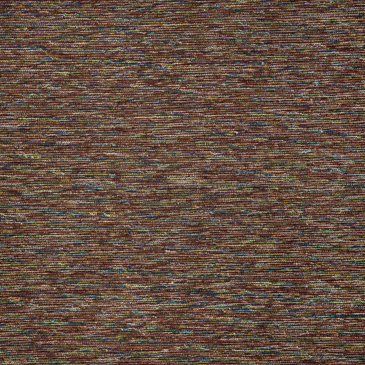 Monet-Amazon