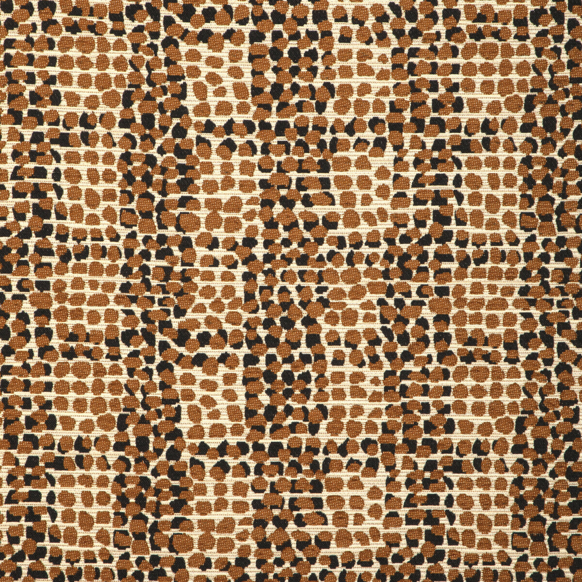 Giraffa-Safari