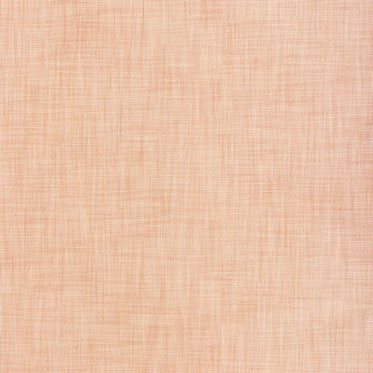 Tikka Texture-Coral
