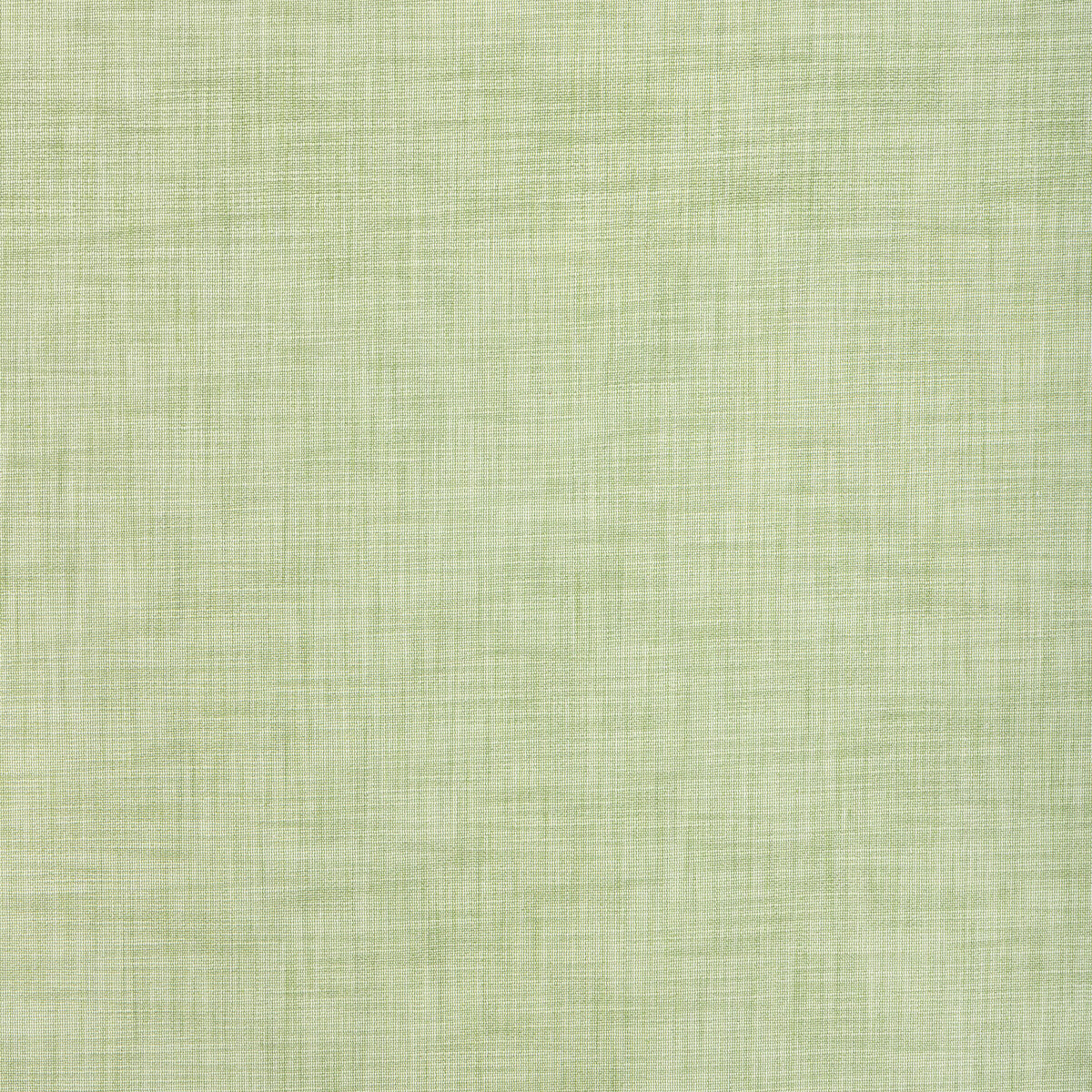 Tikka Texture-Meadow