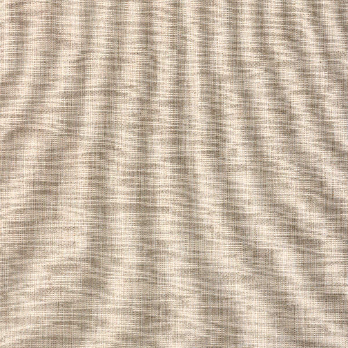 Tikka Texture-Dust