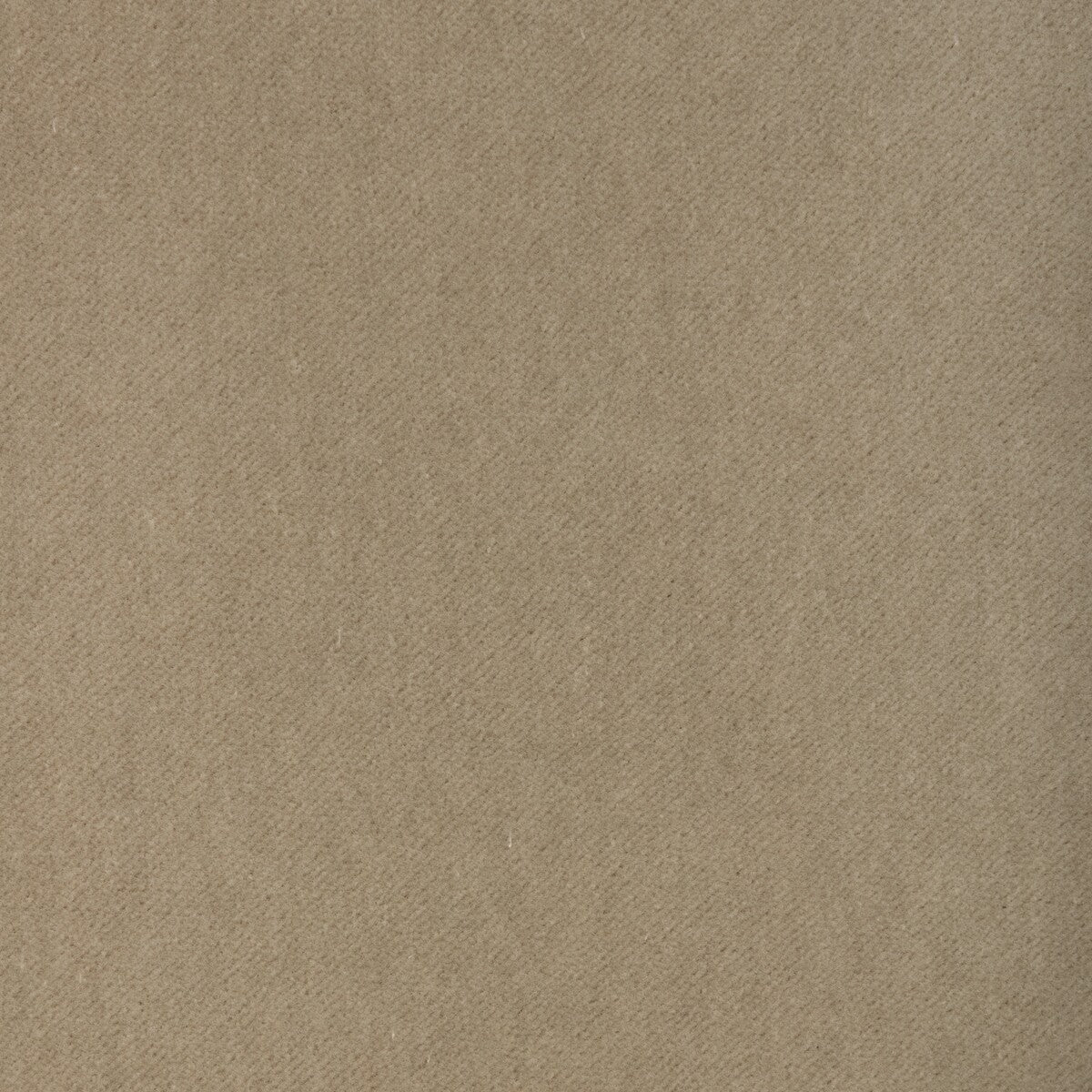 Tempo-Canvas
