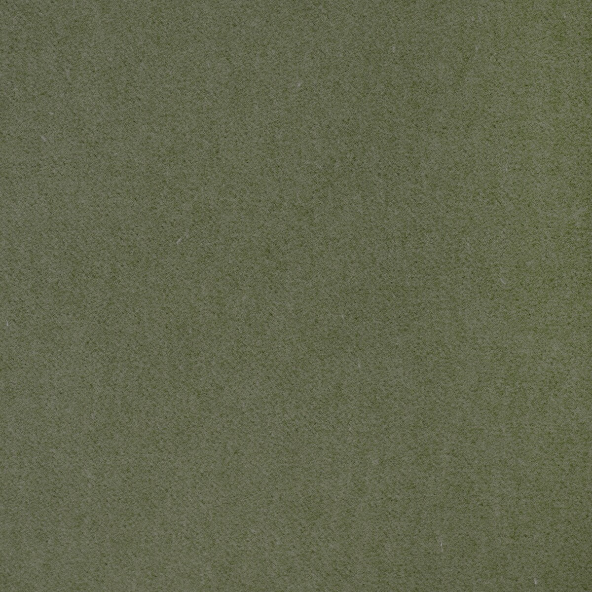 Tempo-Pistachio