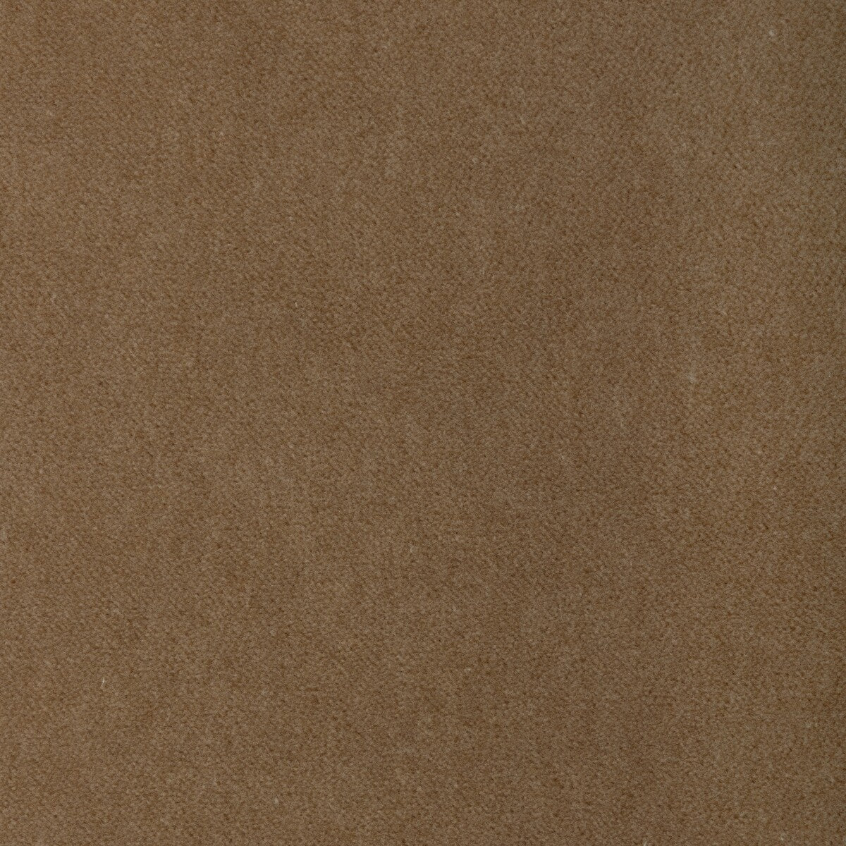 Tempo-Brulee