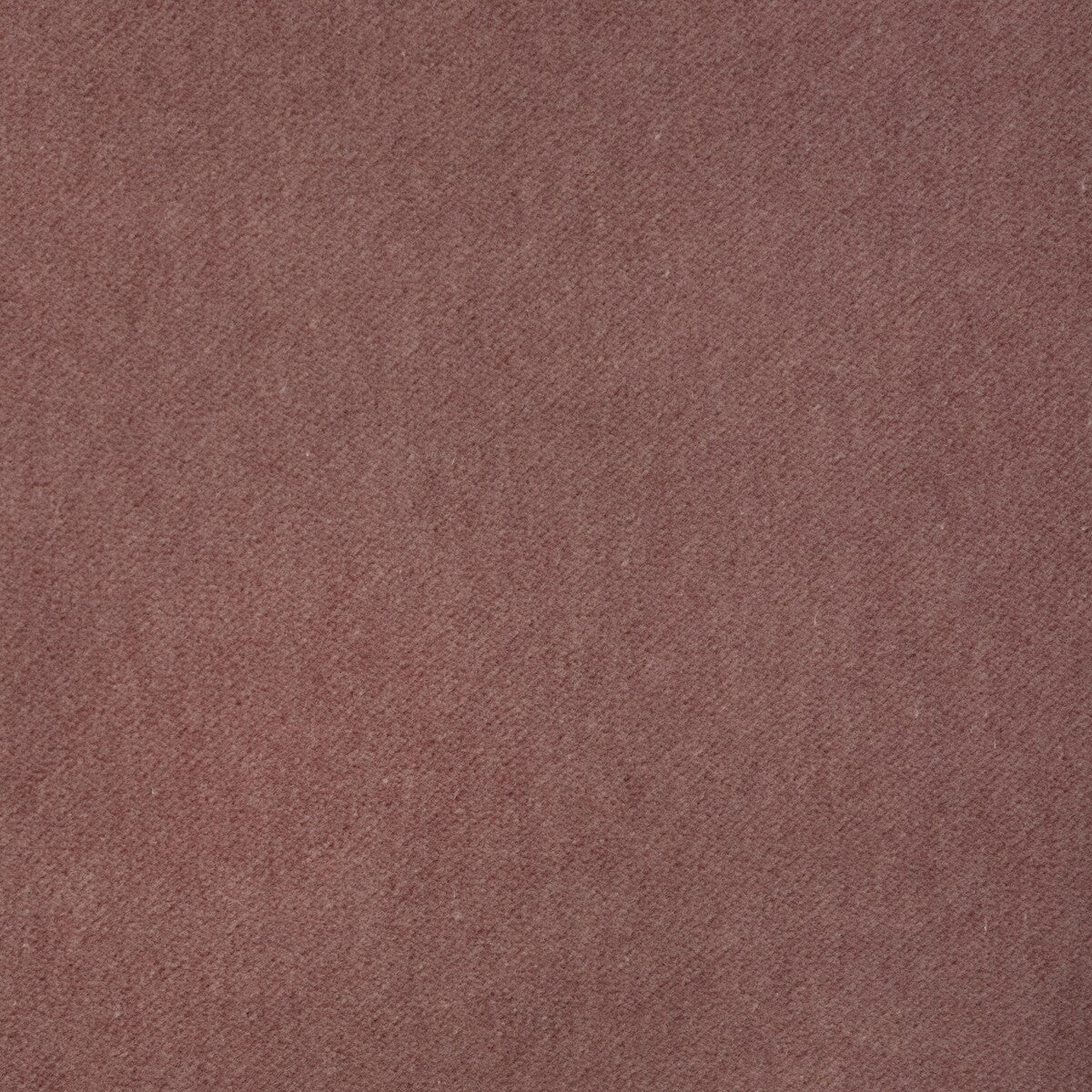Tempo-Rose Quartz