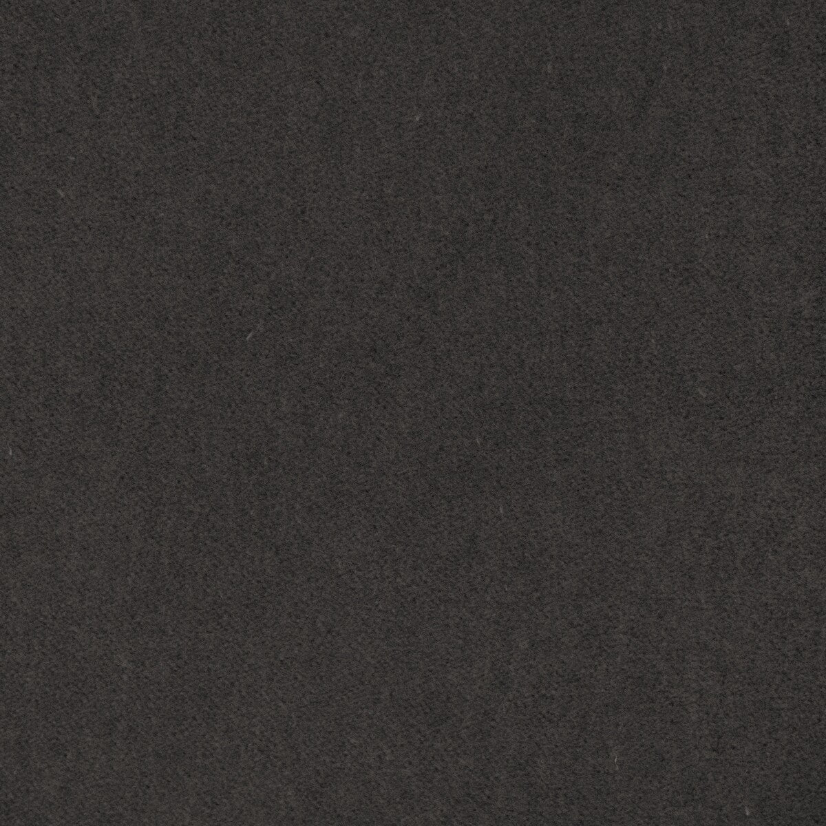 Tempo-Graphite