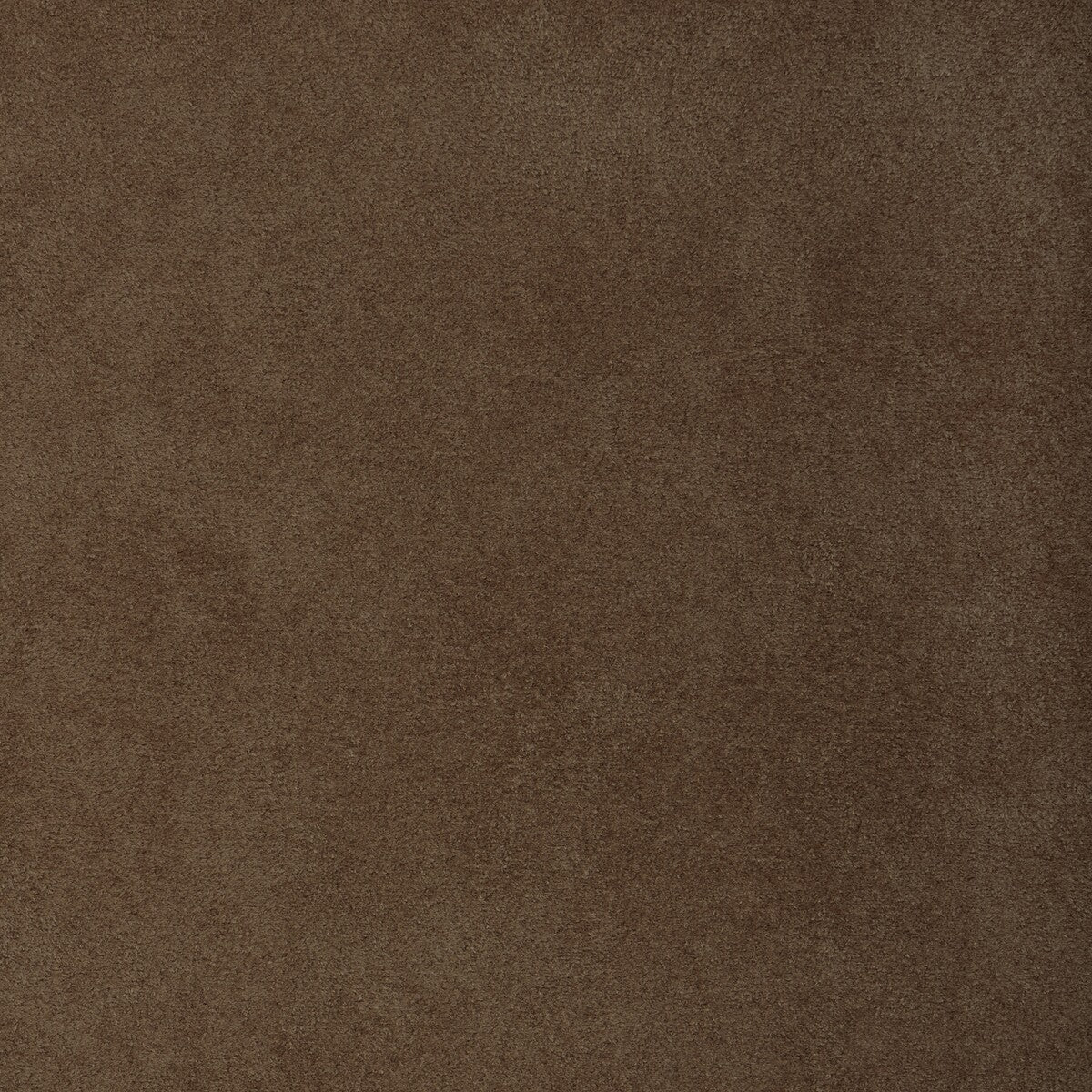 Kravet Design-37721-116