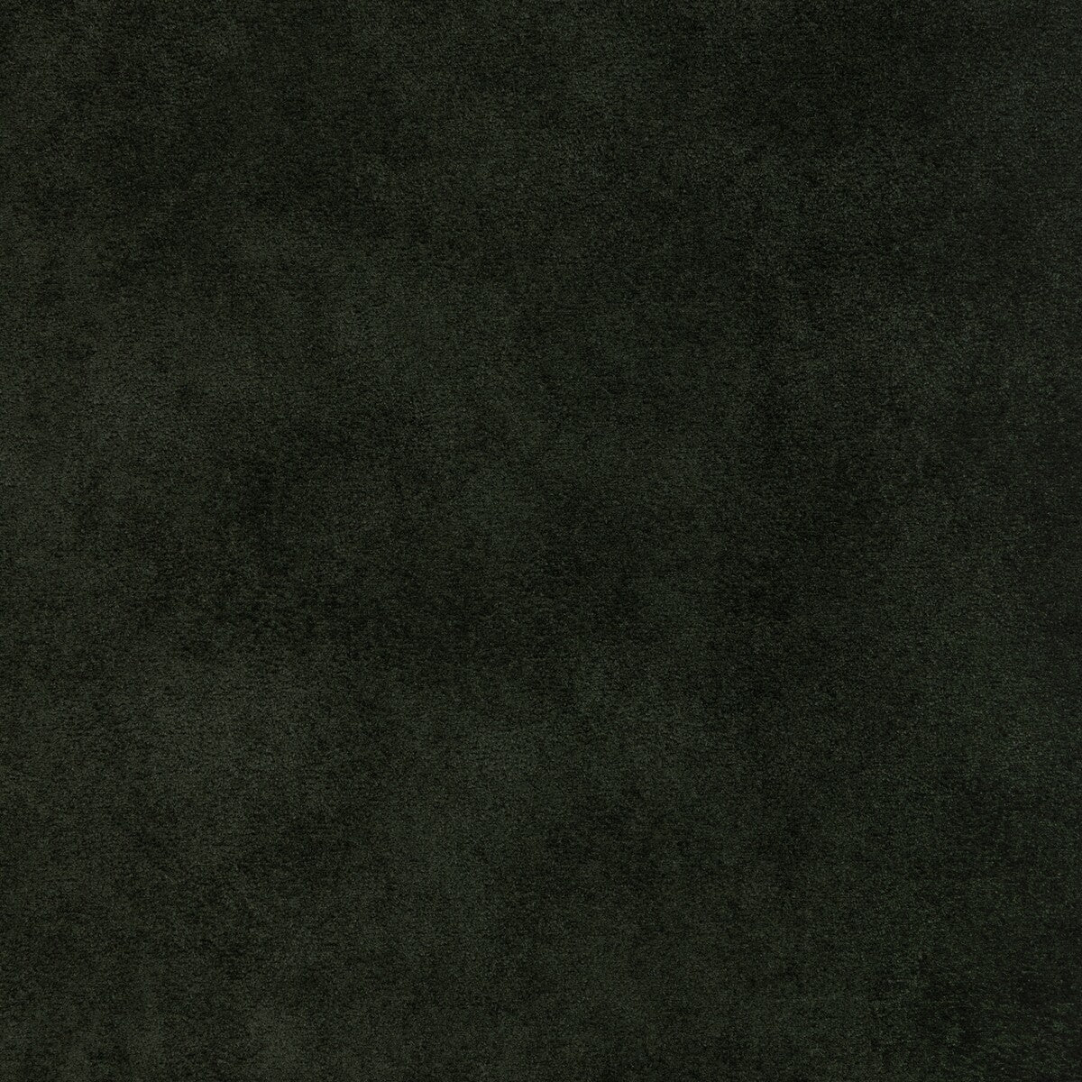 Kravet Design-37721-3