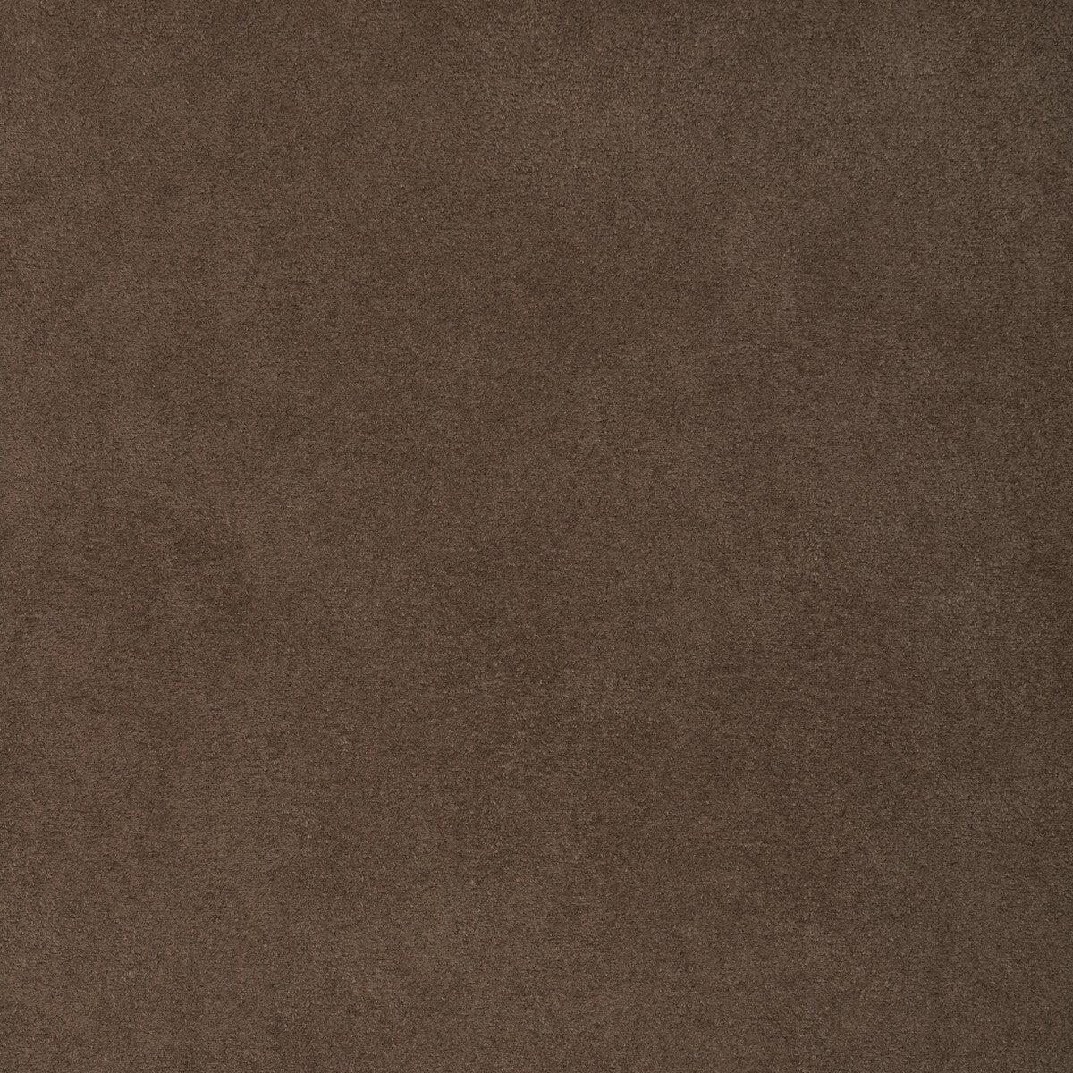 Kravet Design-37721-666