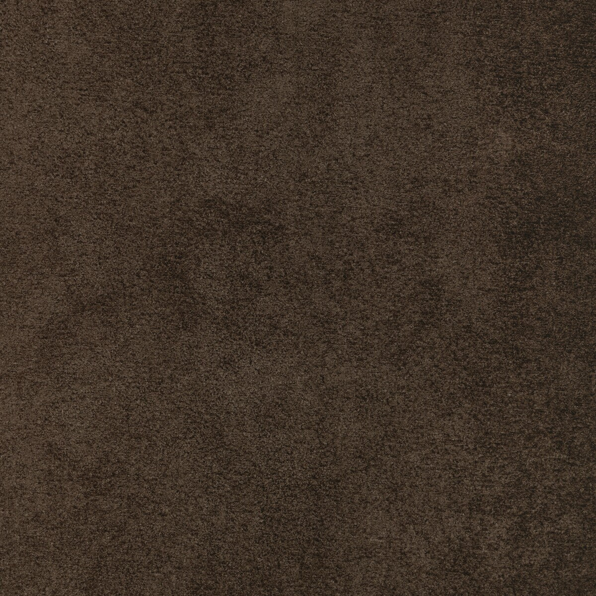 Kravet Design-37721-6666