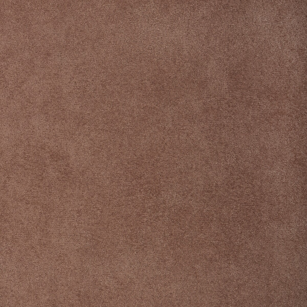 Kravet Design-37721-7