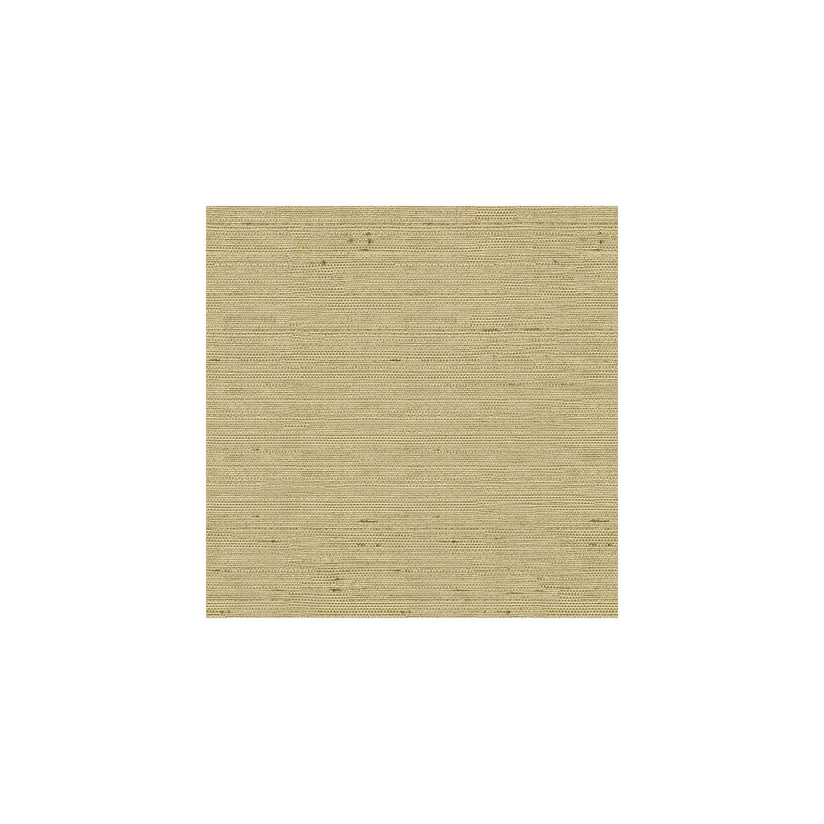 Kravet Basics-3807-1616