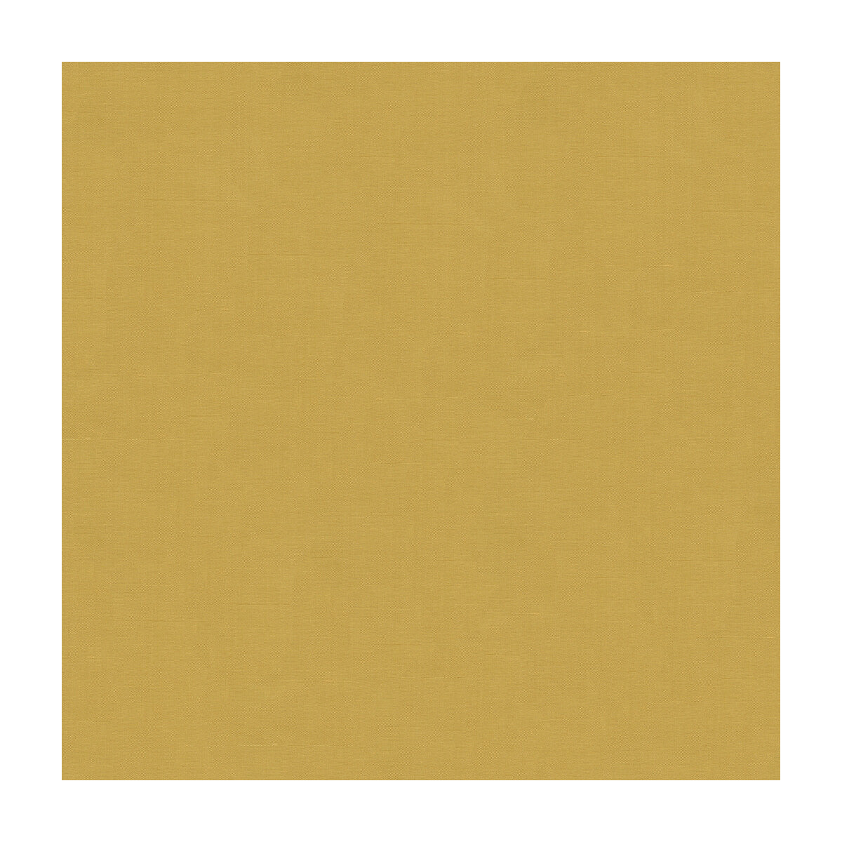 Beech-Champagne