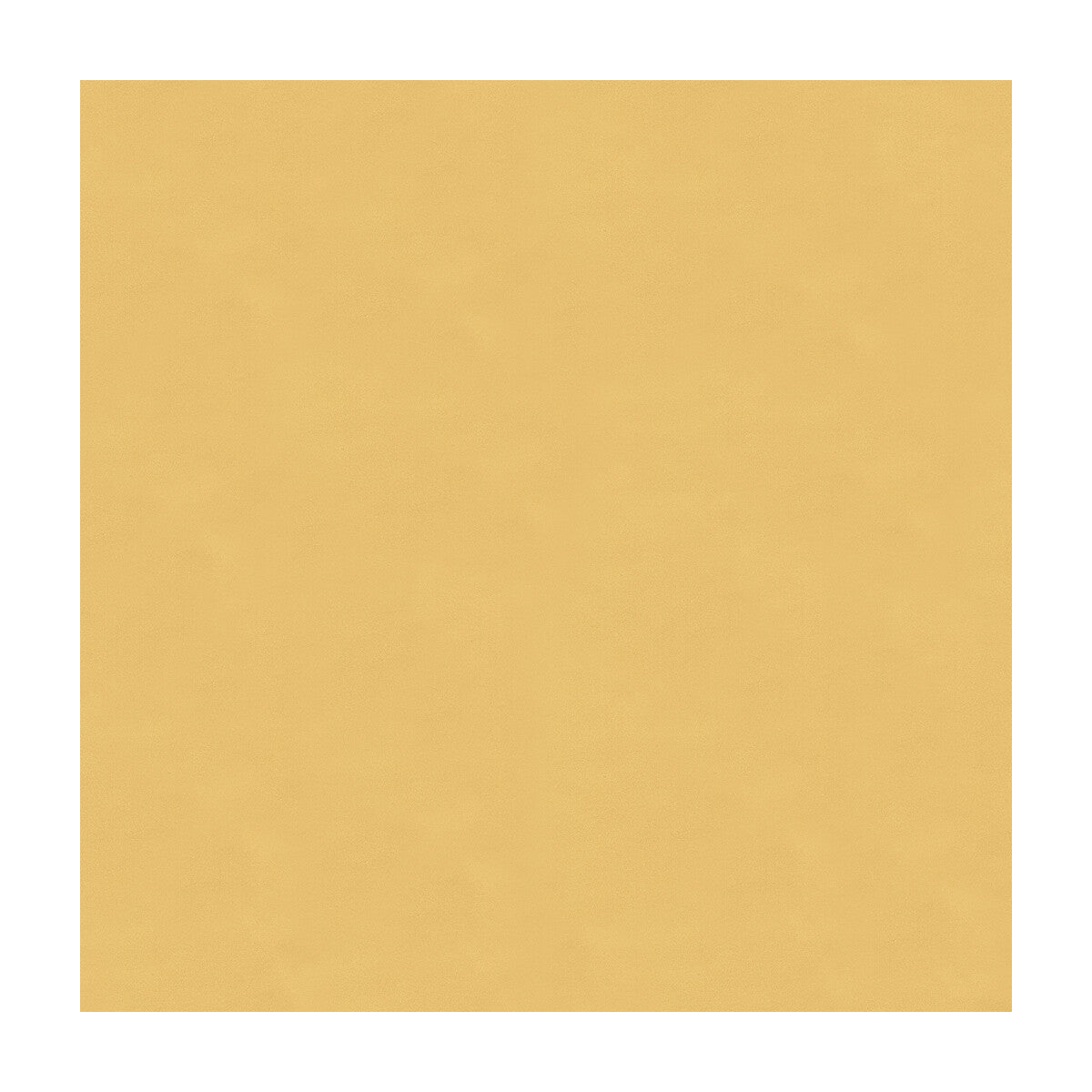 Luster Satin-Shell